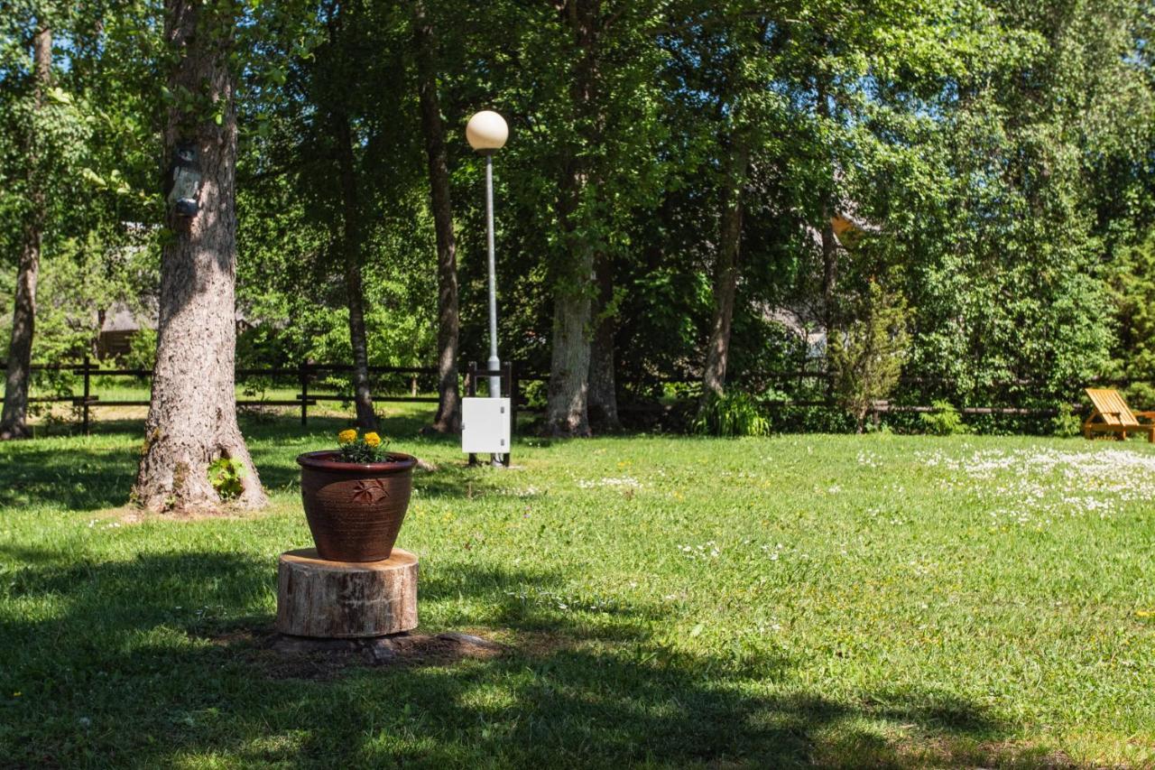 Tehumardi Camping Salme المظهر الخارجي الصورة